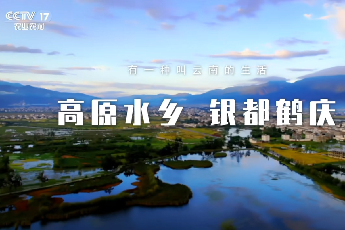 银都鹤庆广告